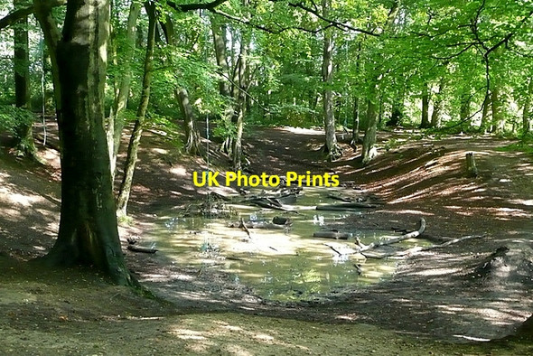 Photo 6"x4" Pit in Blackhouse Wood Dunsden Green c2011