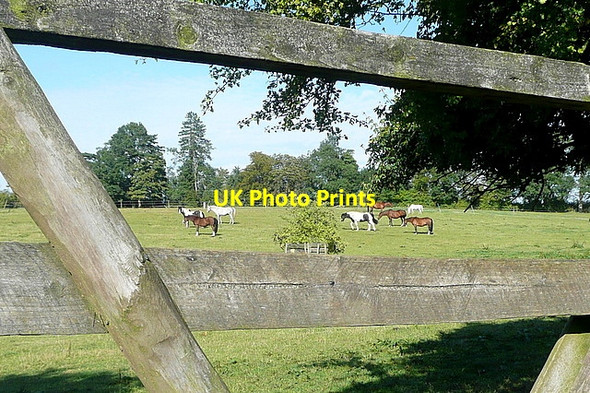 Photo 6"x4" Rosehill riding stables Chalkhouse Green c2011