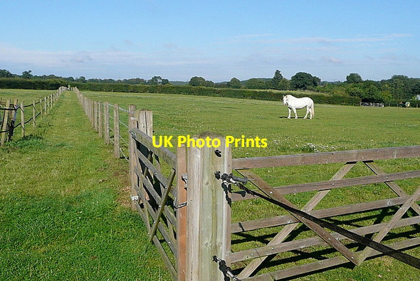 Photo 6"x4" Paddock at Chalkhouse Green Farm Chalkhouse Green c2011