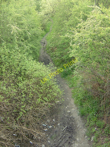 Photo 6"x4" Former colliery railway Rawmarsh c2008