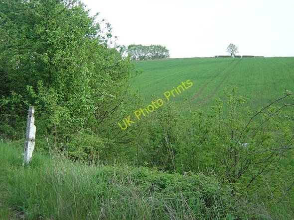 Photo 6"x4" Cereal crop near Rawmarsh Rawmarsh c2008