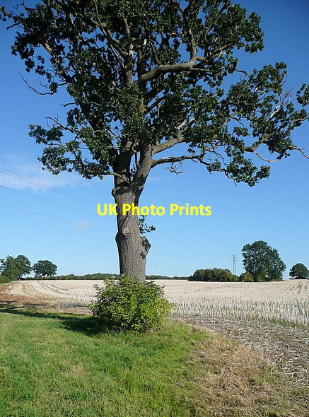 Photo 6"x4" Footpath from Bishopsland Farm Chalkhouse Green c2011