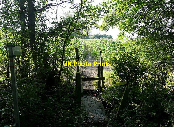 Photo 6"x4" Footpath towards Comp Farm Binfield Heath c2011