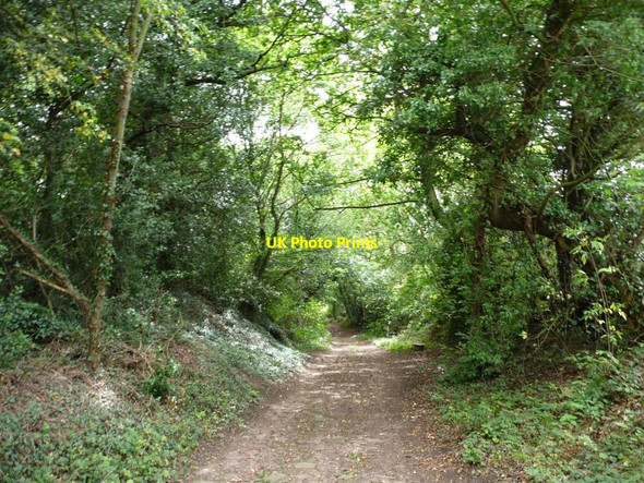 Photo 6"x4" Barnbow Lane dropping down the hillside Pendas Fields c2011