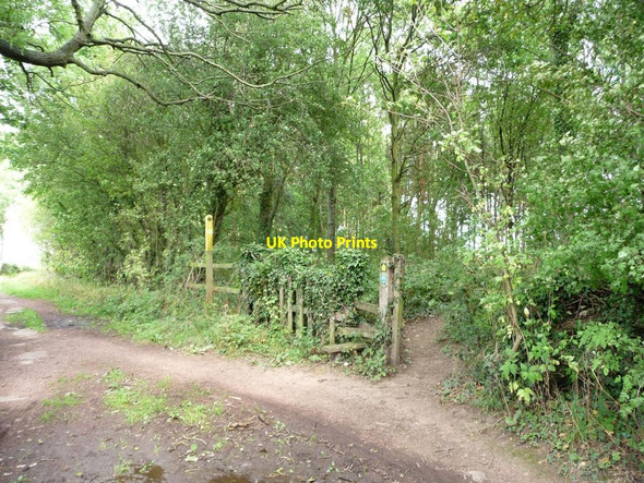 Photo 6"x4" Footpath to the golf course leaving Barnbow Lane Pendas Fields c2011