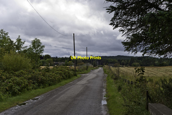 Photo 6"x4" Minor road to Scotsburn Tain\/NH7881 c2011