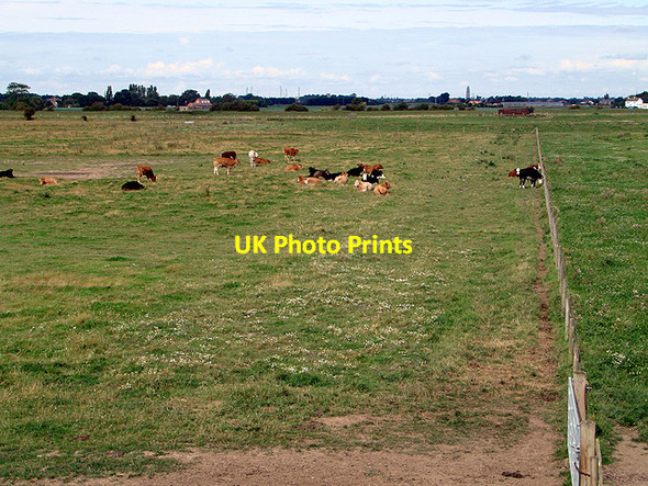 Photo 6"x4" Looking inland from the outer sea bank at Freiston Low Freiston Shore c2011