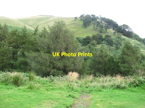 Photo 6"x4" Wood Hill Alva c2011