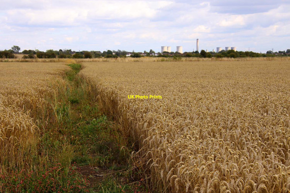 Photo 6"x4" Bridleway to Drayton Drayton\/SU4794 c2011