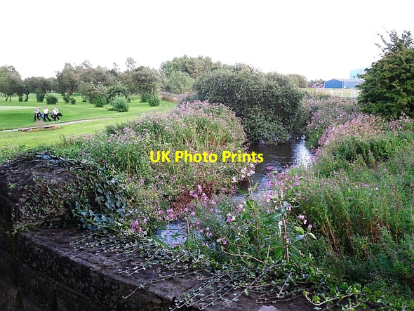 Photo 6"x4" The River Petteril at Stony Holme Carlisle c2011