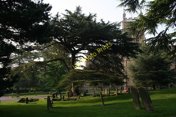 Photo 6"x4" Great Malvern Priory Church graveyard Great Malvern c2008