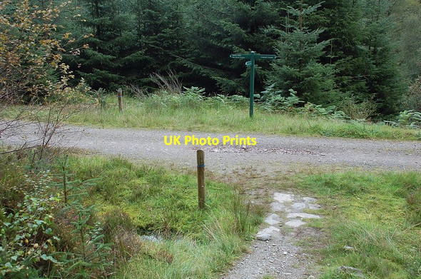Photo 6"x4" Path junction for Ben Venue, Achray Forest Achray Water c2011