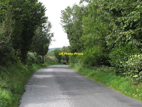 Photo 6"x4" The Clarkill Road descending through woodland towards the Leitrim bridges Annsborough c2011