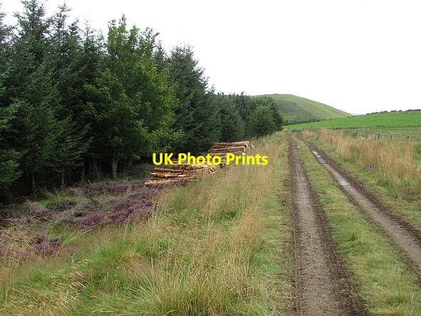 Photo 6"x4" Forest Road, Rough Side Rachan Mill c2011