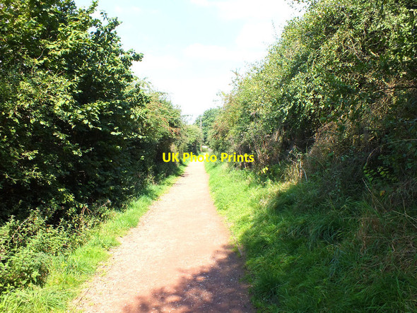 Photo 6"x4" Down the hill Congleton c2011