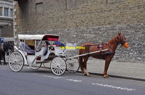 Photo 6"x4" A white horse-drawn carriage, Bellevue, Dublin Dolphins Barn c2010