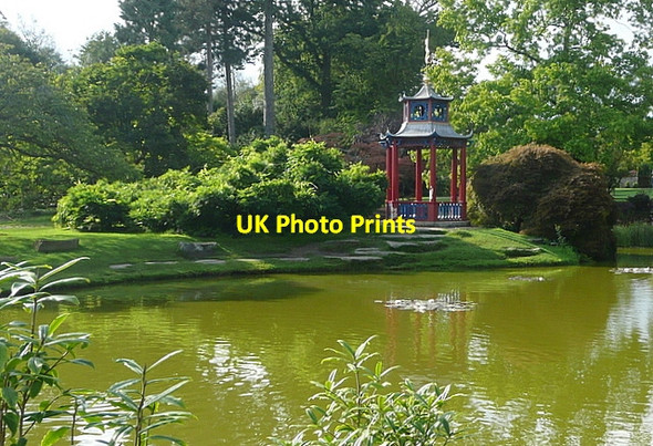 Photo 6"x4" Cliveden, water garden Widmoor c2011
