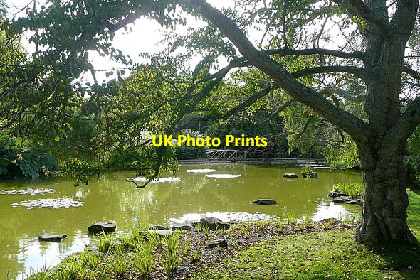 Photo 6"x4" Cliveden, water garden Widmoor c2011