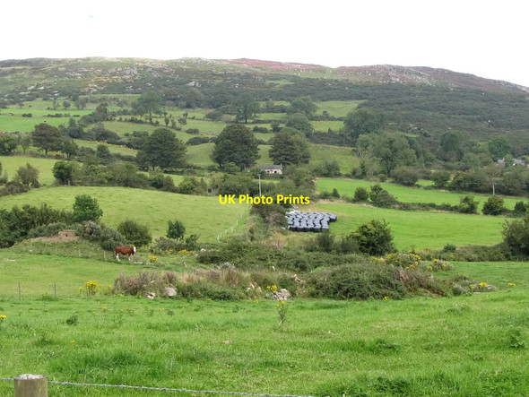 Photo 6"x4" Marginal farmland east of Ribadoo Road Annsborough c2011