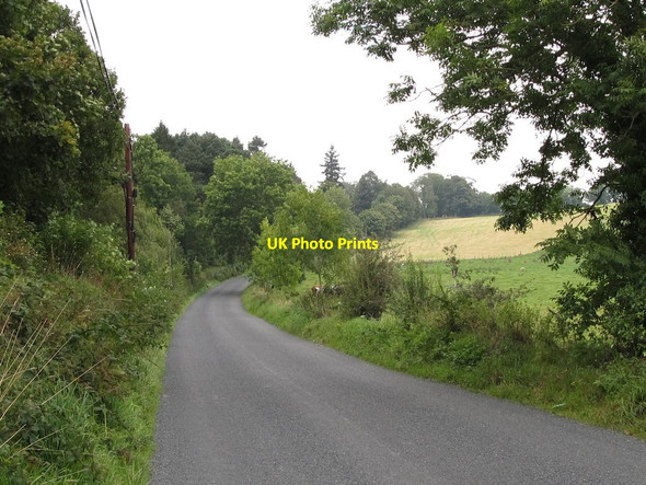 Photo 6"x4" View north along Drumbuck Road, Castlewellan Annsborough c2011