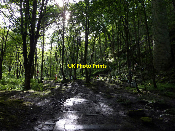 Photo 6"x4" Site of Upper Lumb Mill, Colden Clough  Hebden Bridge c2011