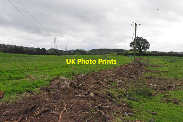 Photo 6"x4" Removed hedge, Carnforth Carnforth c2011
