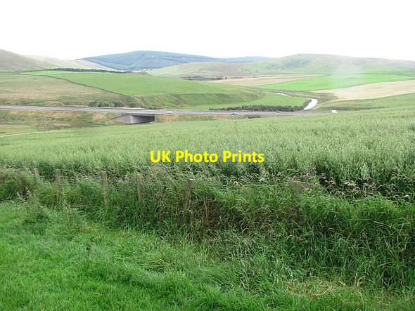 Photo 6"x4" A field of oats, Maidencotts Roberton\/NS9428 c2011