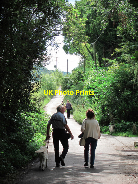 Photo 6"x4" Lullingstone Lane Eynsford c2011