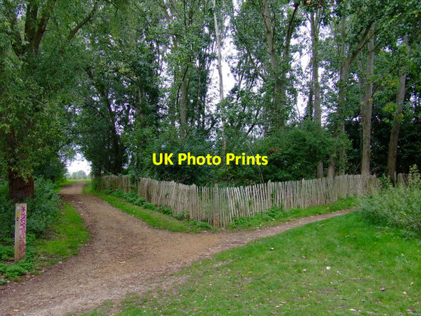 Photo 6"x4" Path in Elthorne Park Brentford c2011