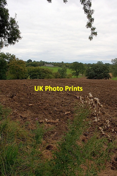 Photo 6"x4" Ploughed Field Azerley c2011