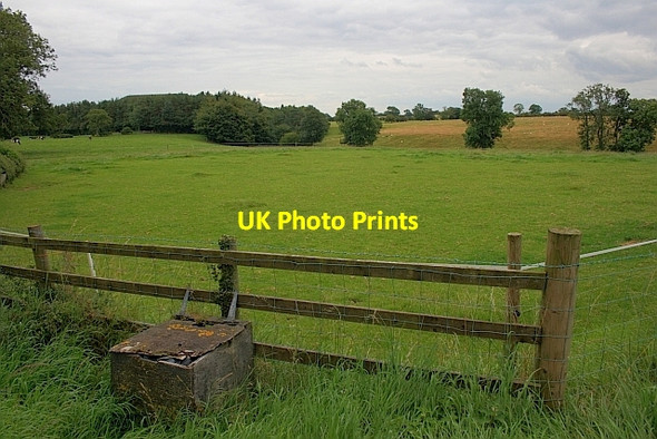 Photo 6"x4" Field, New Zealand Farm Azerley c2011