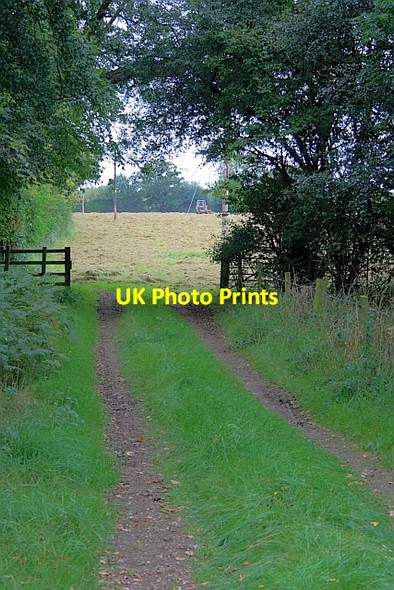 Photo 6"x4" Access to Field North Stainley\/SE2876 c2011