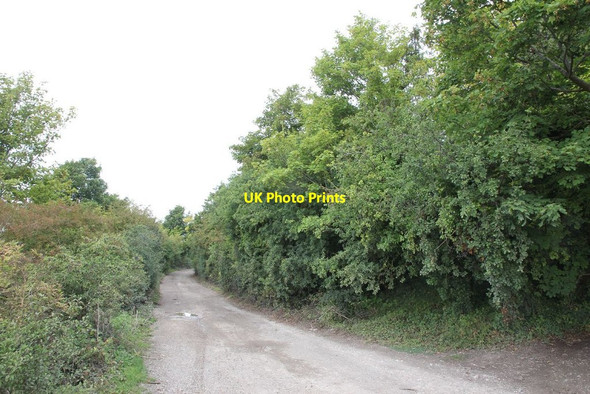 Photo 6"x4" Looking up the downs Moulsford c2011