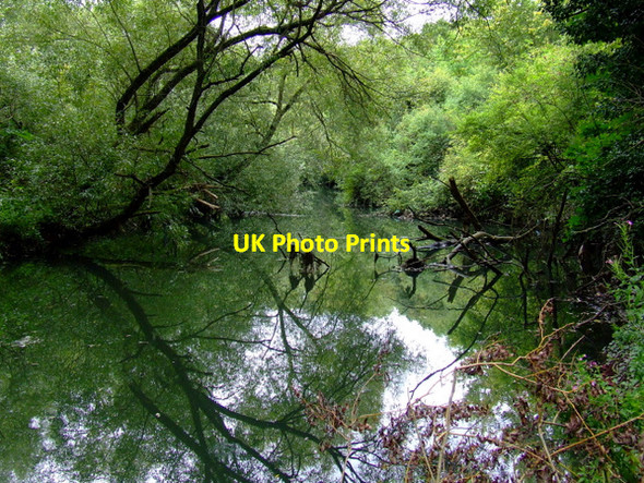 Photo 6"x4" The River Brent Ealing c2011