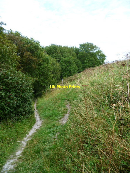 Photo 6"x4" Bridleways diverge near the South Downs Way Steyning c2011