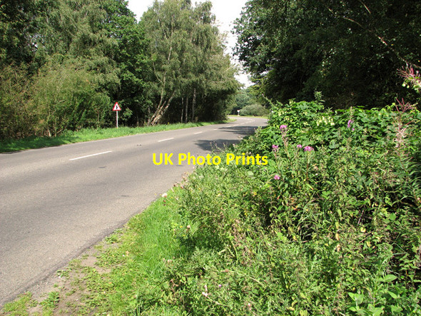 Photo 6"x4" B1440 road approaching Dersingham Common Dersingham c2011