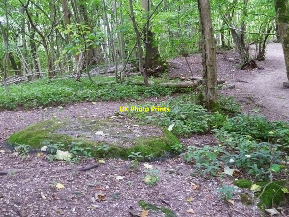 Photo 6"x4" Top of disused reservoir in Chalkpit Wood Washington\/TQ1212 c2011