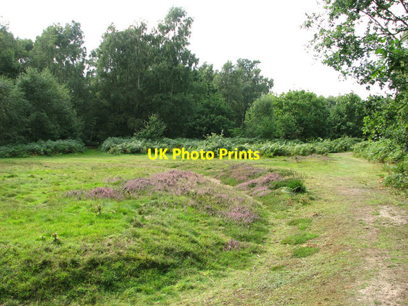 Photo 6"x4" Dersingham Common Dersingham c2011