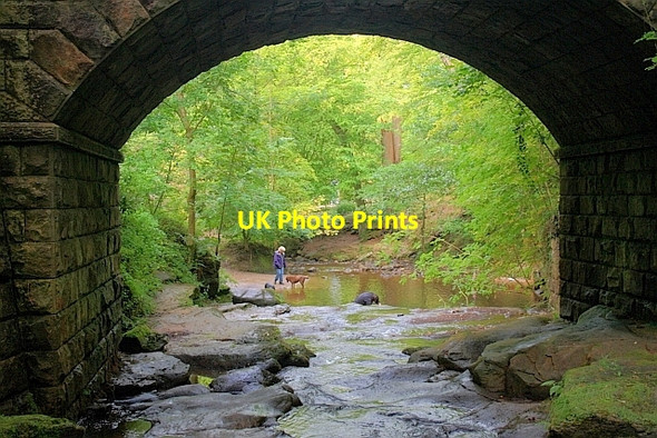 Photo 6"x4" May Beck Sneatonthorpe c2011