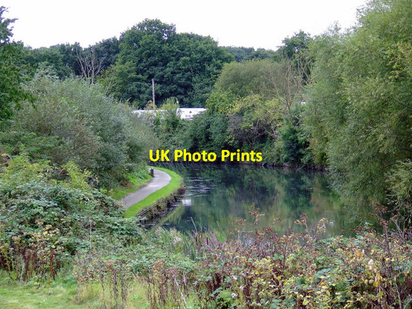 Photo 6"x4" The River Brent Ealing c2011