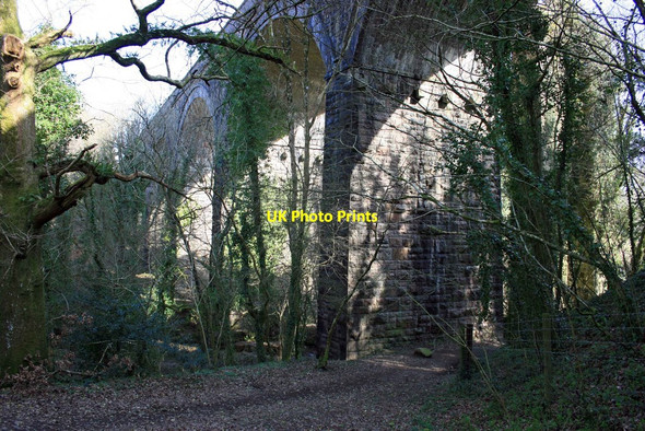 Photo 6"x4" Glazebrook Viaduct Brent Mill c2009
