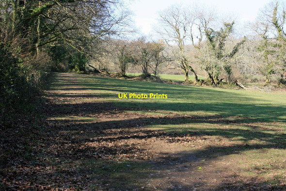 Photo 6"x4" Ladies Wood Brent Mill c2009