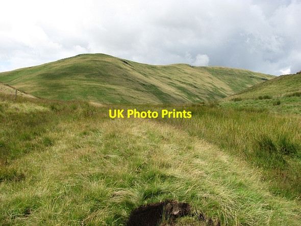 Photo 6"x4" Col under the Nebit Tillicoultry c2011