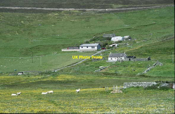 Photo 6"x4" Valyie, Norwick Kirkaton c2000