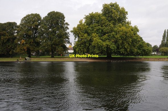 Photo 6"x4" The Thames near Sunbury Lock Sunbury c2011