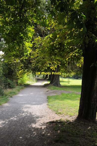 Photo 6"x4" Chestnut trees in Hurst Park Teddington\/TQ1670 c2011
