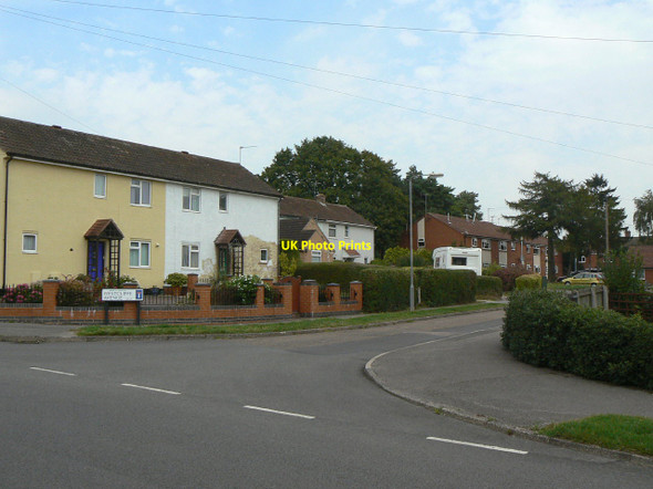Photo 6"x4" Westcliffe Avenue Harlequin c2011