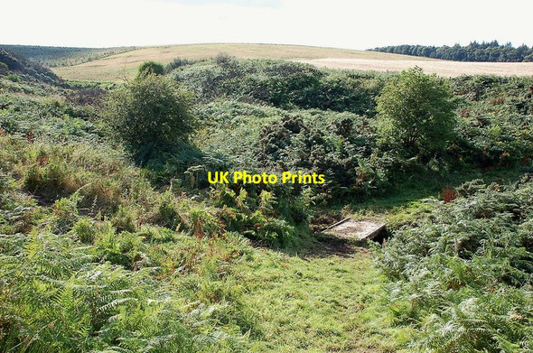 Photo 6"x4" Footbridge, Plendernethy Burn Cumledge c2011