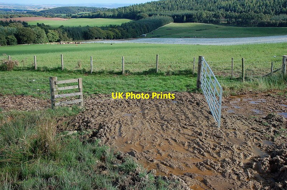 Photo 6"x4" Why is the gate... Cumledge c2011