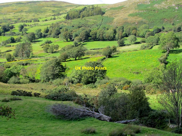 Photo 6"x4" View westwards across the middle Ghann River valley Rostrevor c2011
